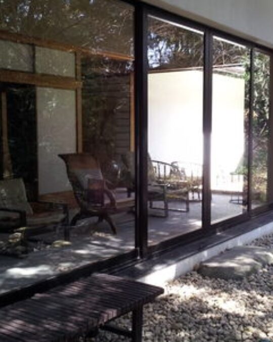 ケーキの花が咲きました