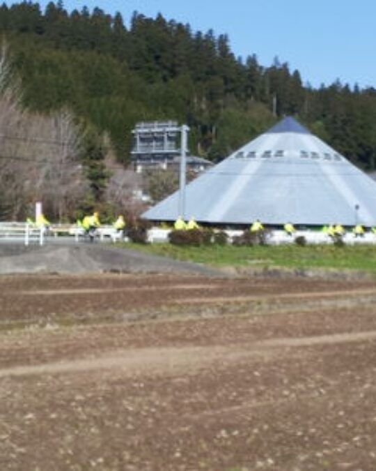 『菜の花』？？？？？『幸せの黄色いハンカチ』（ふるっ）