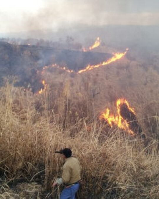 『春の風物詩　阿蘇の野焼き』
